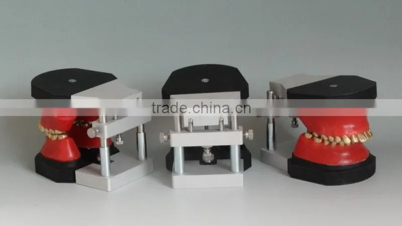 Dental orthodontic operational training model DEA-32