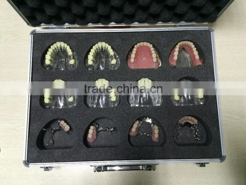 Integrated Denture Model Teaching Demonstration