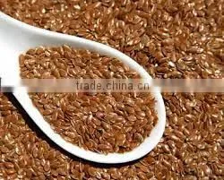 LINSEED OIL SEED