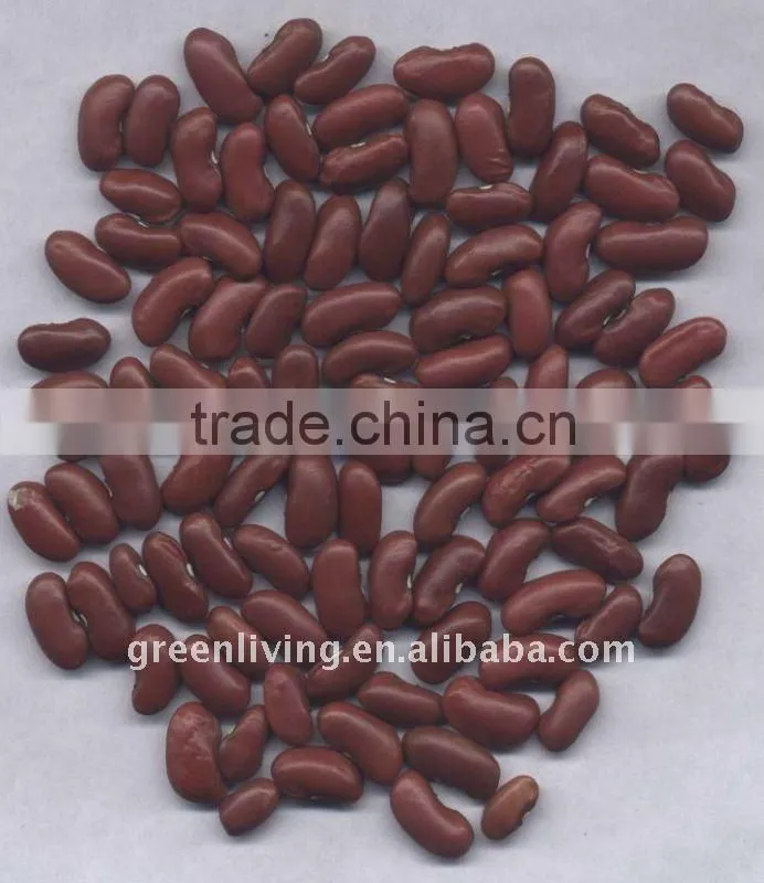 2011 new dried red kidney bean (cheapest price )