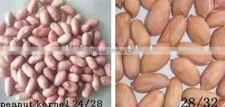 peanut kernel long type(35/40 and 50/60) from china