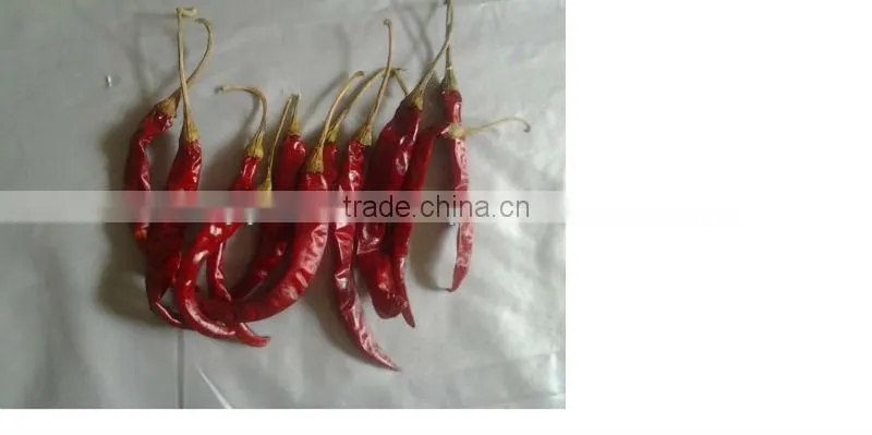 BEST RED CHILI