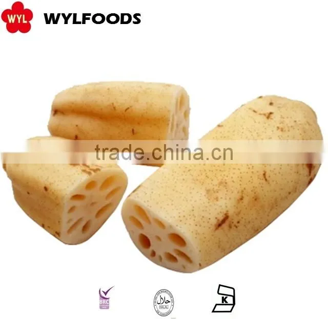 high quality from china frozen lotus root slice best price