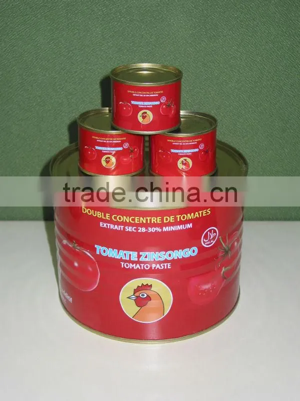 brix different ,bulk tomato aseptic ketchup tomato paste halal food manfacturer