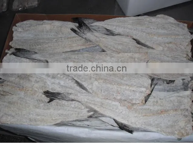 Dried salted cod fish herring