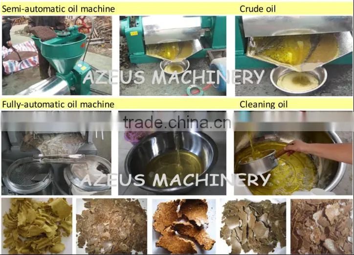 Hot sales 6YL-80A small automatic cold press oil press oil expeller