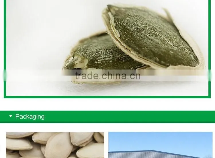 wholesale edible white pumpkin seed price