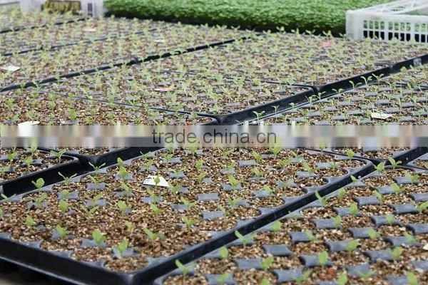 Golden Expanded Vermiculite for horticulture