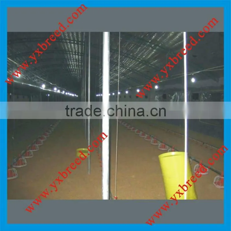 Floor broiler raising system