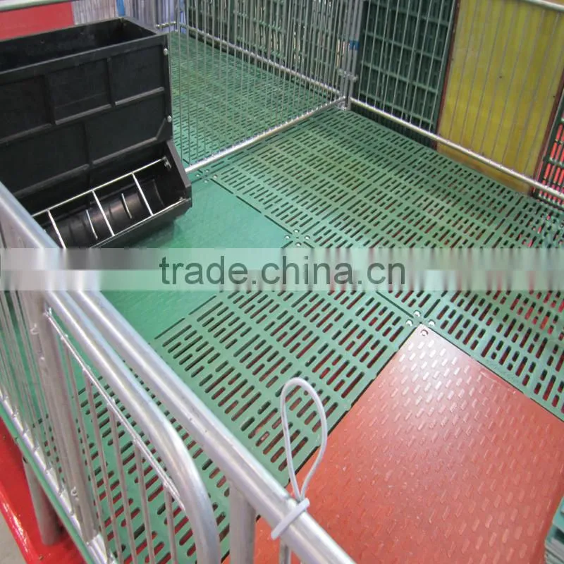 Dairy plastic pig floor