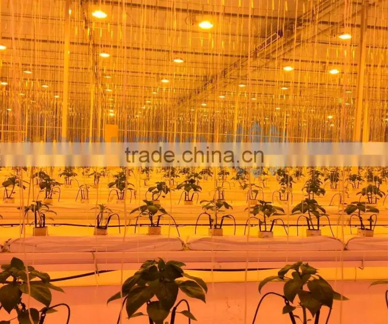 LED grow light with hydroponic system greenhouse