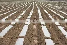 recycled agricultural/greenhouse/mulch plastic film