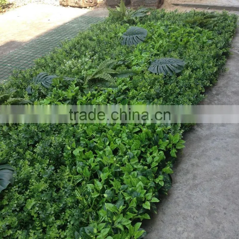 Export outdoor wall plants decoration