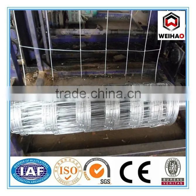grass land fence(professional manufacturer,best price and good quality)