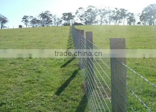 Stainles Wire Grassland Fence