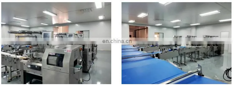 Horizontal automatic loaf, teacake, roll, toast, hot cross bun pillow packing machine flow wrapping machine