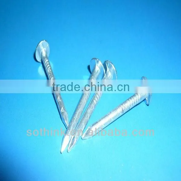 electric galvanized flat head roofing nails