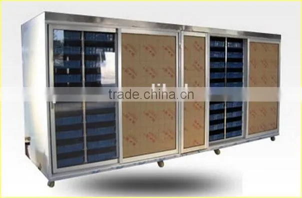 Black Bean Sprouts Making Machine | Green Mung Bean Sprouting Machine
