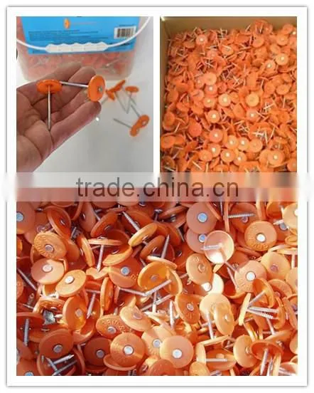 New concrete insulation nails/ plastic cap nail manufacture