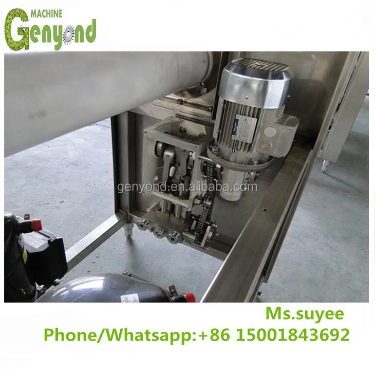 Industrial Ice Cream Continuous Freezer