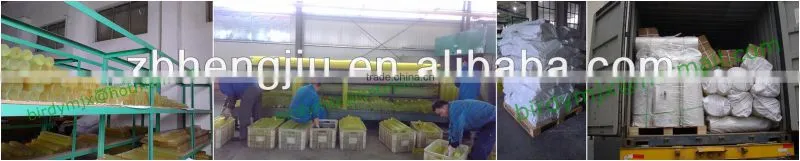 Polyurethane Elastomer