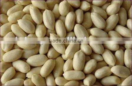 Roasted Peanut Inshell