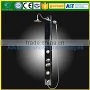 Bathroom computer controlled enclosed steam shower room