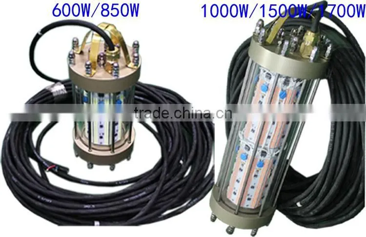 600W led light for fishing/inflatable fishing chair/fishing gear CE& RoHS