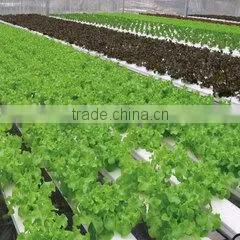 Greenworld Company Limited company overview - view 2