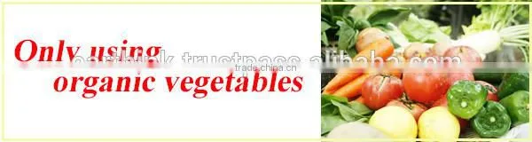 baby food without additives / made in japan organic baby food vegetable soup 100g (from 5 months old)