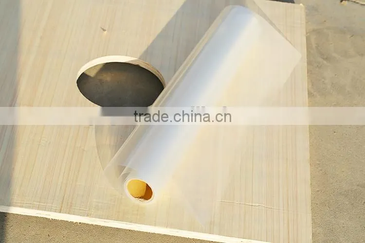 Polaroid Plastic Matte PET Film
