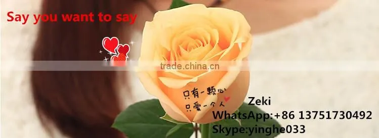 Yinghe new condition flower printer