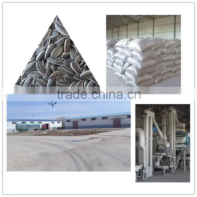 inner mongolia sunflower kernels