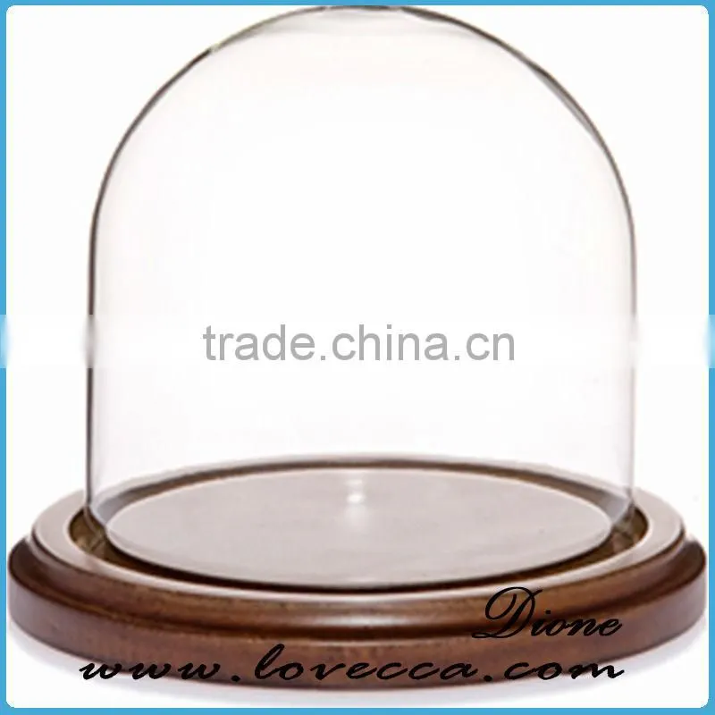 New christmas product wholesale fashion plant glass domes wholesae