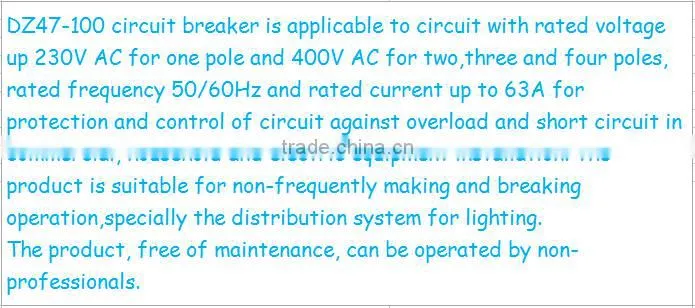 mini Circuit breaker DZ47-100 2P MCB