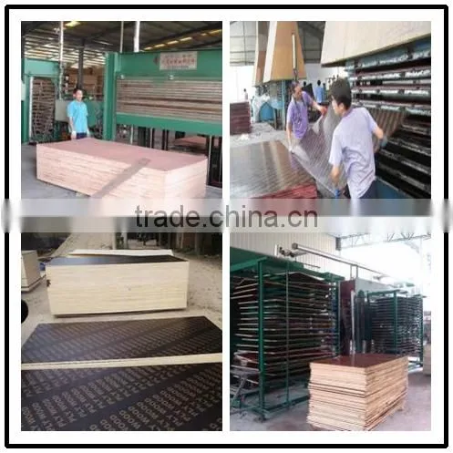 packing plywood vietnam 4 ft. x 8 ft. 3mm-28mm/kitchen decoration polyester plywood china waterproof plywood vietnam