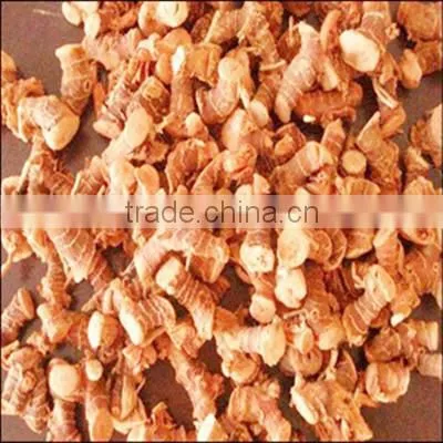 Well Dry Galangal-root