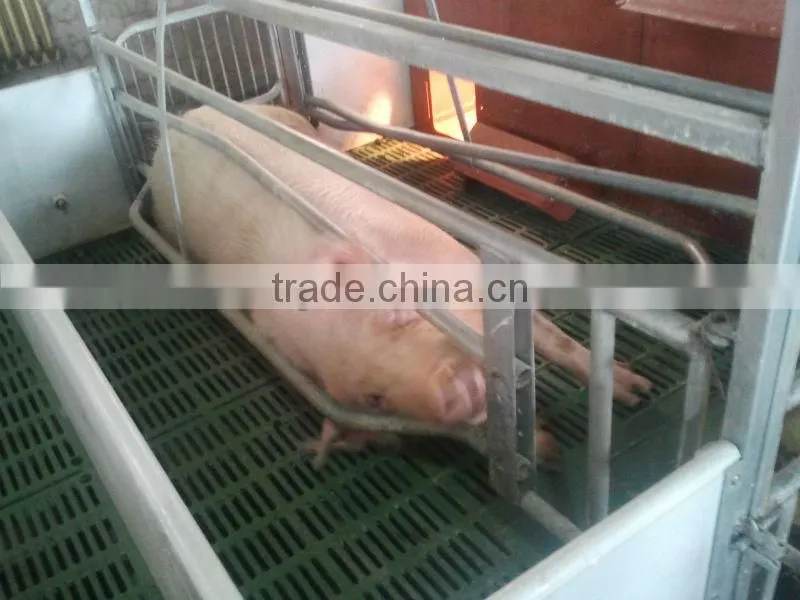 2014 Good Quality Plastic Slat Pig Floor For Pig Farm