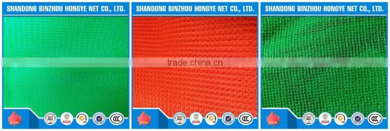 Hot Sale!free sample Warp knitted green safety net