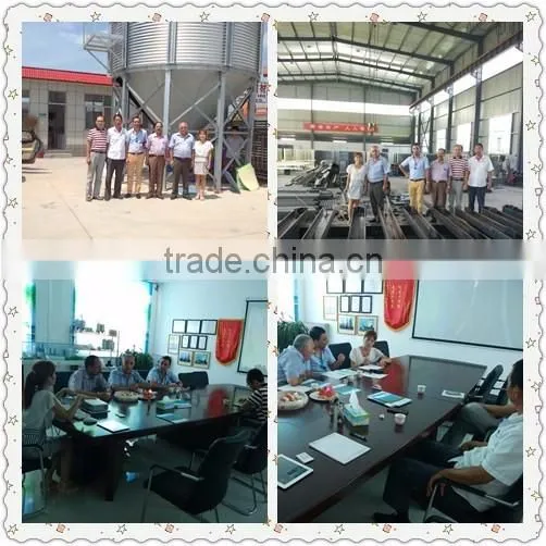 10t/h maize wheat screw conveyor auger