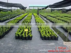 Best Seller Black PP Woven Glass Mulch