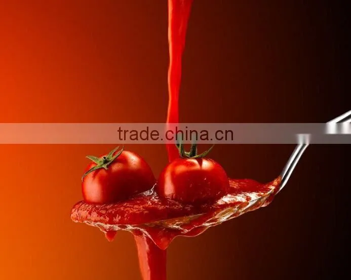 VFFS Automatic Tomato Paste Packing Machine piston filler