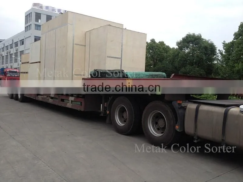 Metak Belt Type Potato Sorting Machine