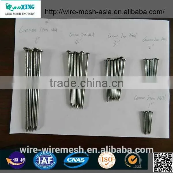 Common Nail price of Iron Nail Factory