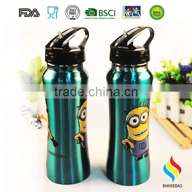 Stainless Steel Water Bottle