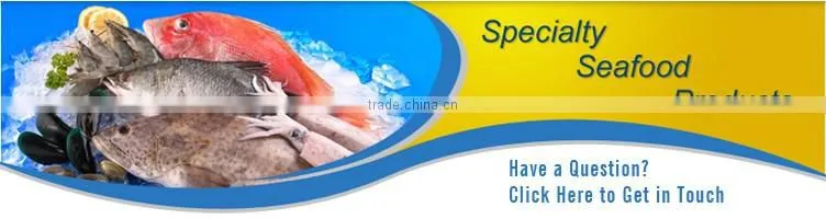 Fresh Frozen Indian Oil Sardine