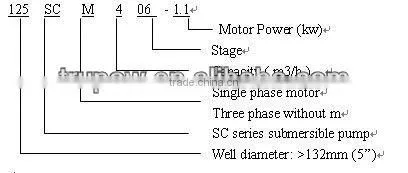 125SC4 Series Deep Well Submersible Pump