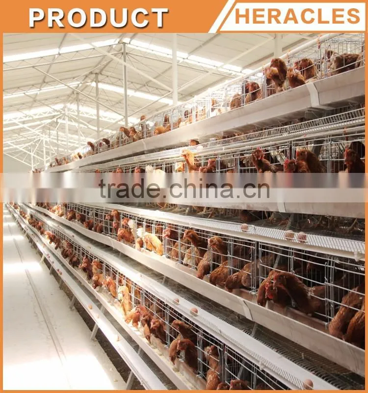 Heracles Factory price chicken layer cage- A type of poultry cage