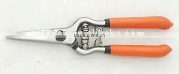 6" garden grape scissors/ Gardening tool