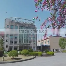 Zhejiang Xiaowangzi Food Share Co., Ltd. company overview - view 1
